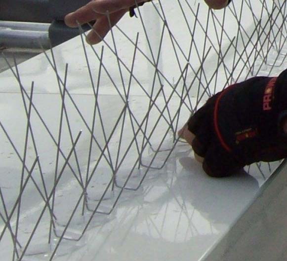 Balcony Safety Nets in Hyderabad