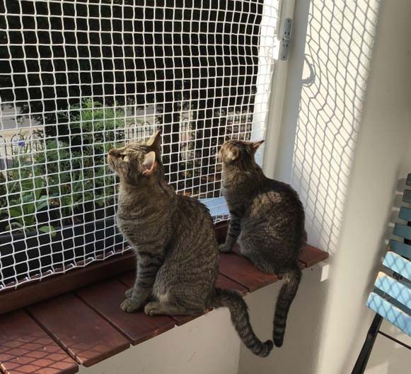 Balcony Safety Nets in Hyderabad
